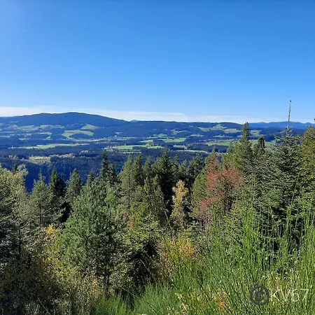 Jogilation Sankt Jakob im Walde