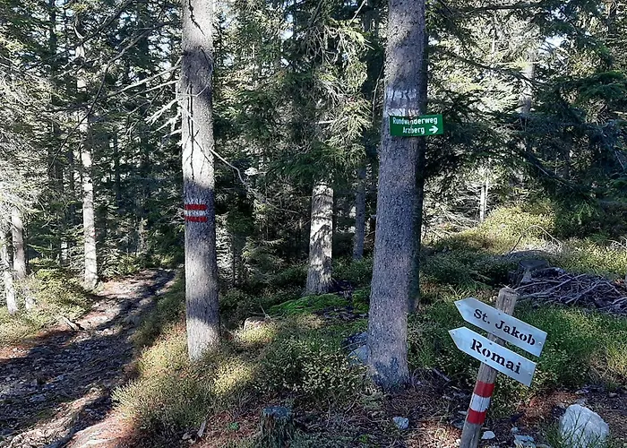 Jogilation سانكت ياكوب إم فالدي