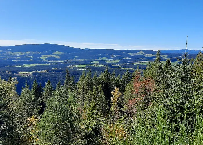 Jogilation سانكت ياكوب إم فالدي