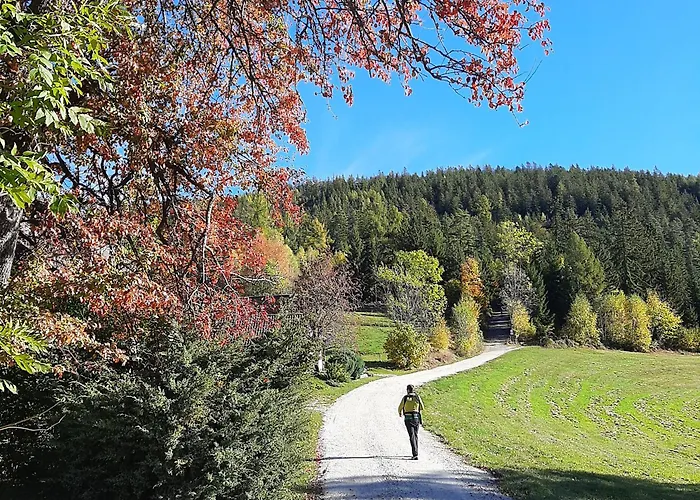 Jogilation شقة سانكت ياكوب إم فالدي