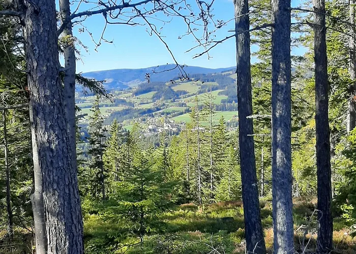 Jogilation * 林区圣雅各布