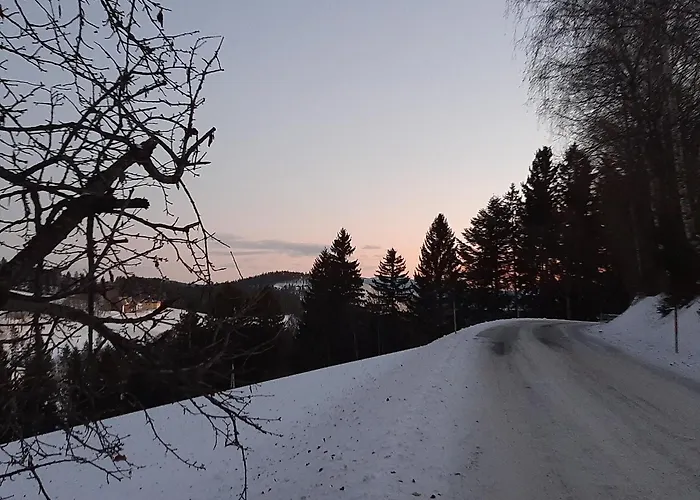 Jogilation * سانكت ياكوب إم فالدي