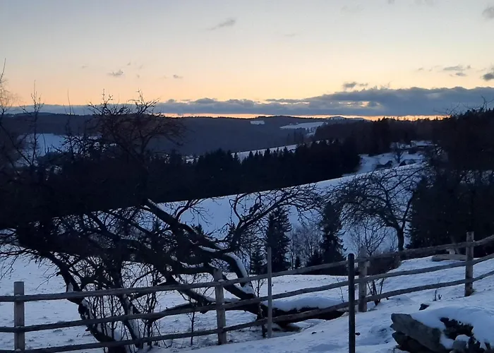 Jogilation 林区圣雅各布