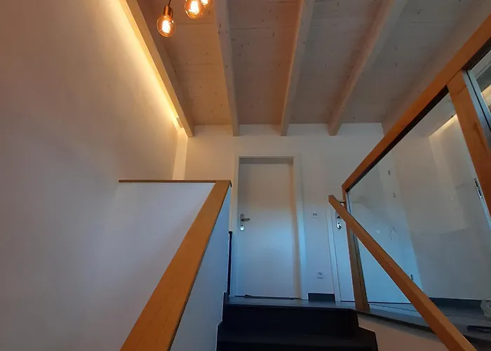 Jogilation * 林区圣雅各布