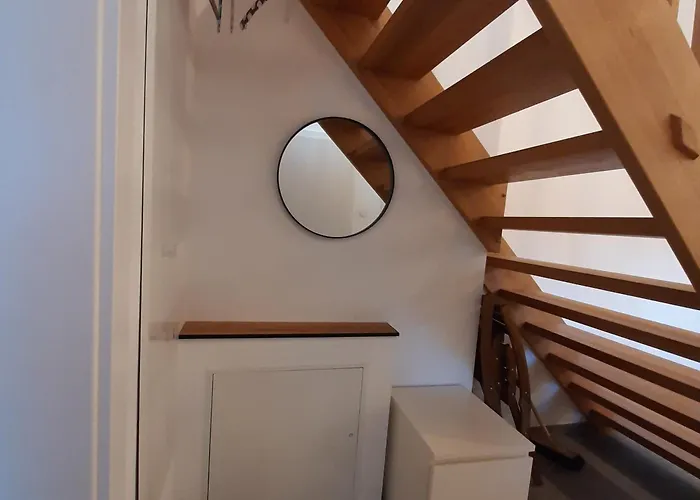 Jogilation سانكت ياكوب إم فالدي