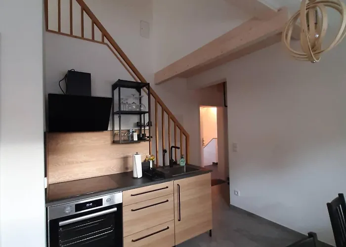 Jogilation 林区圣雅各布